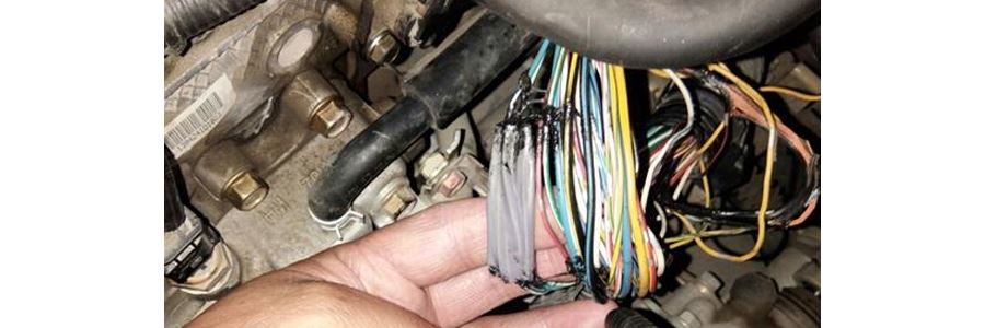 wire harness 2
