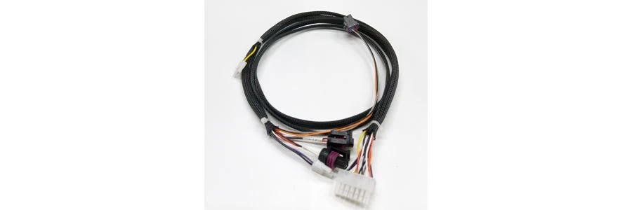 Delphi 12065287 wire harness