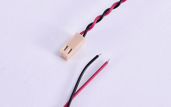 How to see the terminal wire model