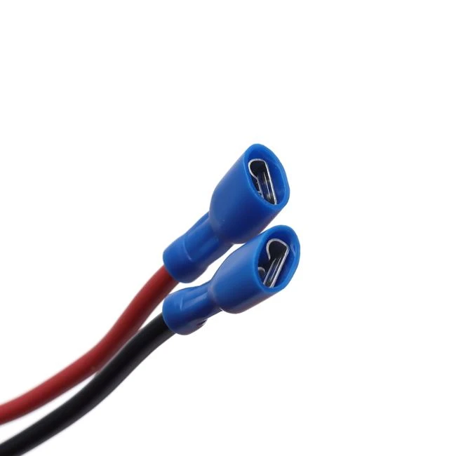 Molex Wire Harness